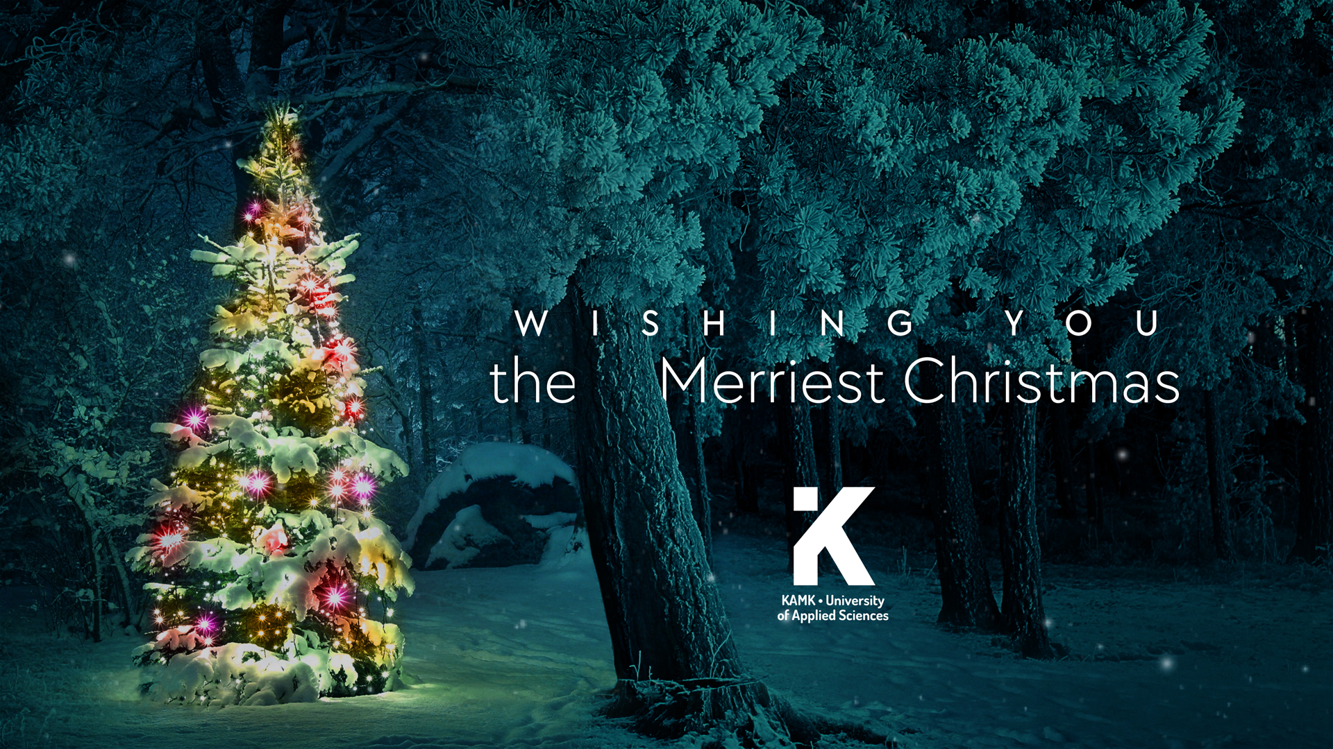 Dark forest with christmas tree. Text: We wishing you merriest christmas