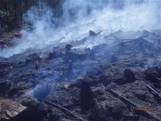 Palanut metsänpohja savuaa ja hiiltyneitä puunruunkoja on kaatunut maahan.